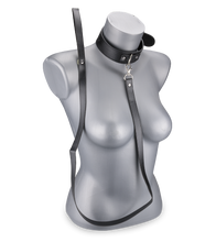 Load image into Gallery viewer, BDSM-Halsband und -Leine